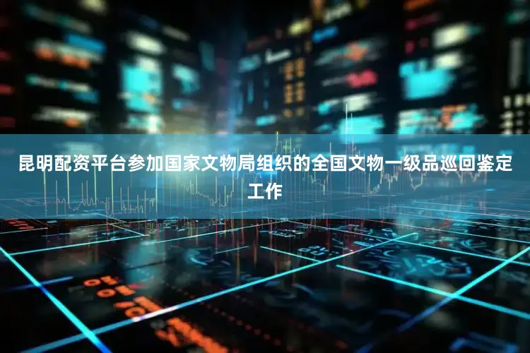 昆明配资平台参加国家文物局组织的全国文物一级品巡回鉴定工作
