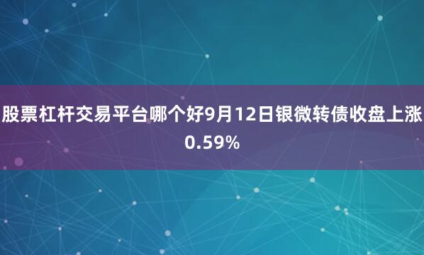 股票杠杆交易平台哪个好9月12日银微转债收盘上涨0.59%